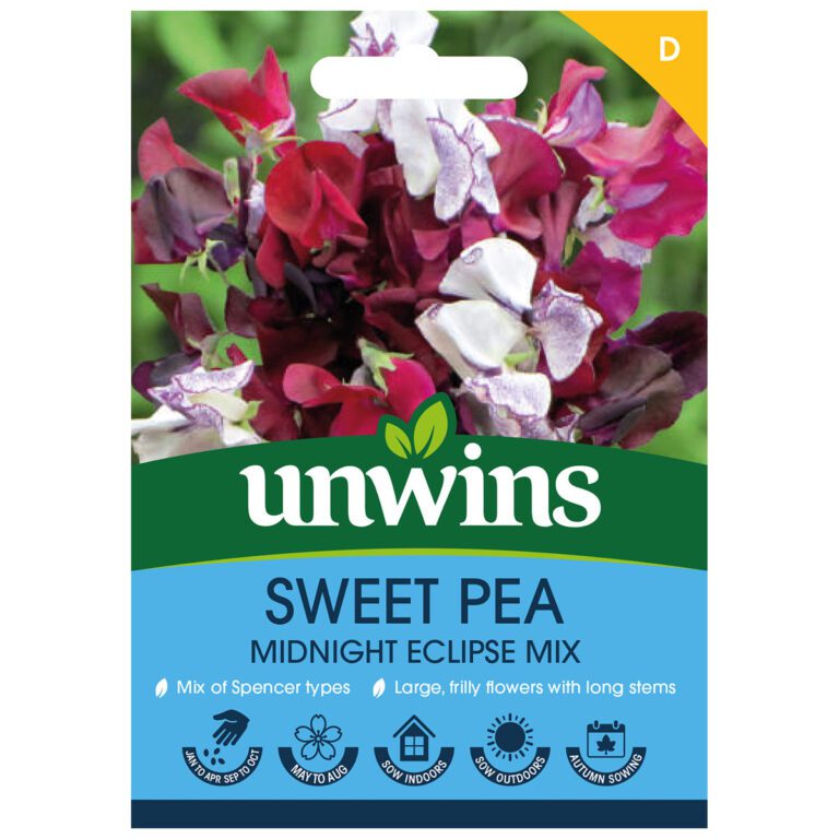 5051618038621 1 Sweet Pea Midnight Eclipse Mix Seeds.jpg
